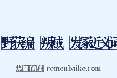 野获编·叛贼·发冢近义词是什么意思的图片